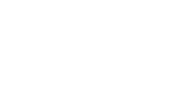 Trident Motors